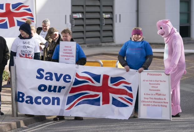 Gazette & Herald: A demonstration outside the Department for Environment, Food & Rural Affairs (Defra) office in York, as farmers warn that pig industry faces 'devastation'. Picture date: Thursday February 10, 2022.